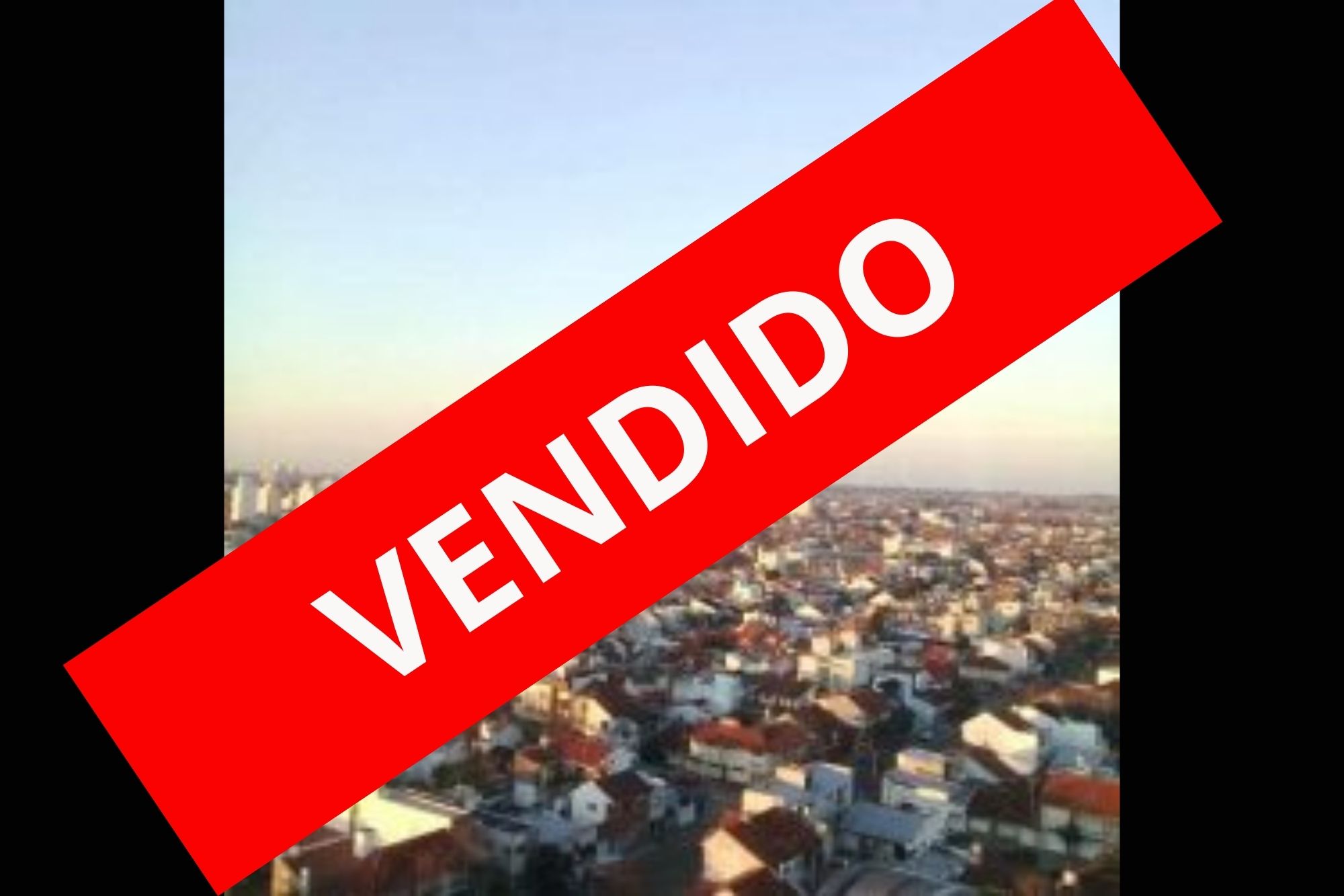 Violeta y Negro Vendida Cartel para Jardín para Inmobiliaria (1)