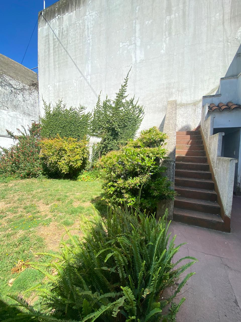 WhatsApp Image 2026-01-08 at 11.03.30 (1)