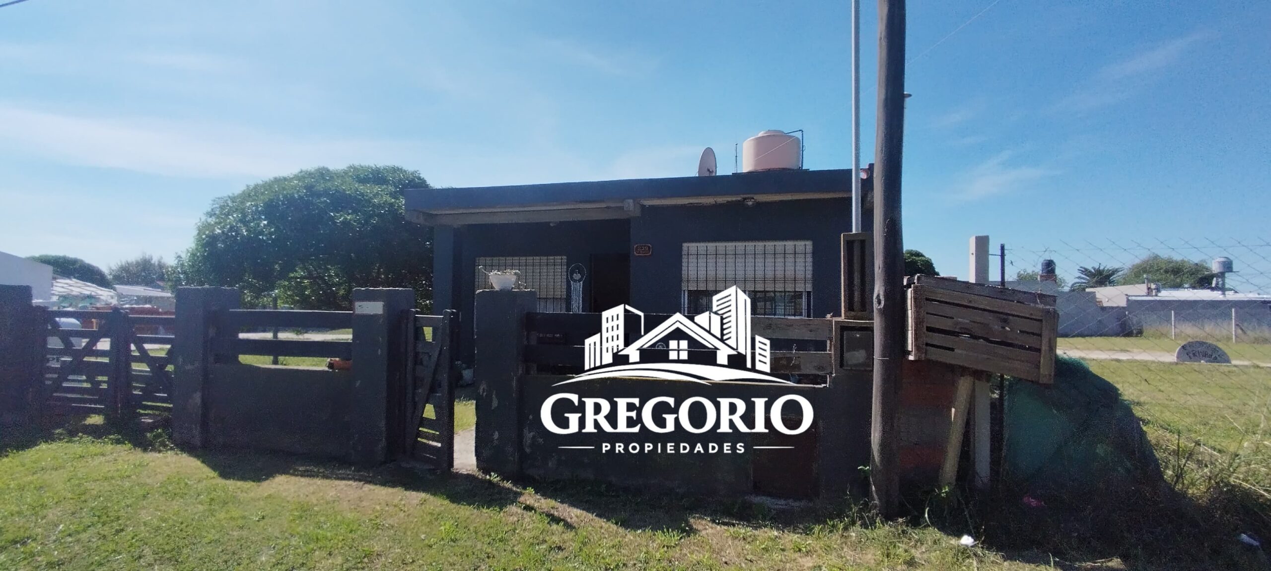 WhatsApp Image 2025-04-04 at 12.15.26