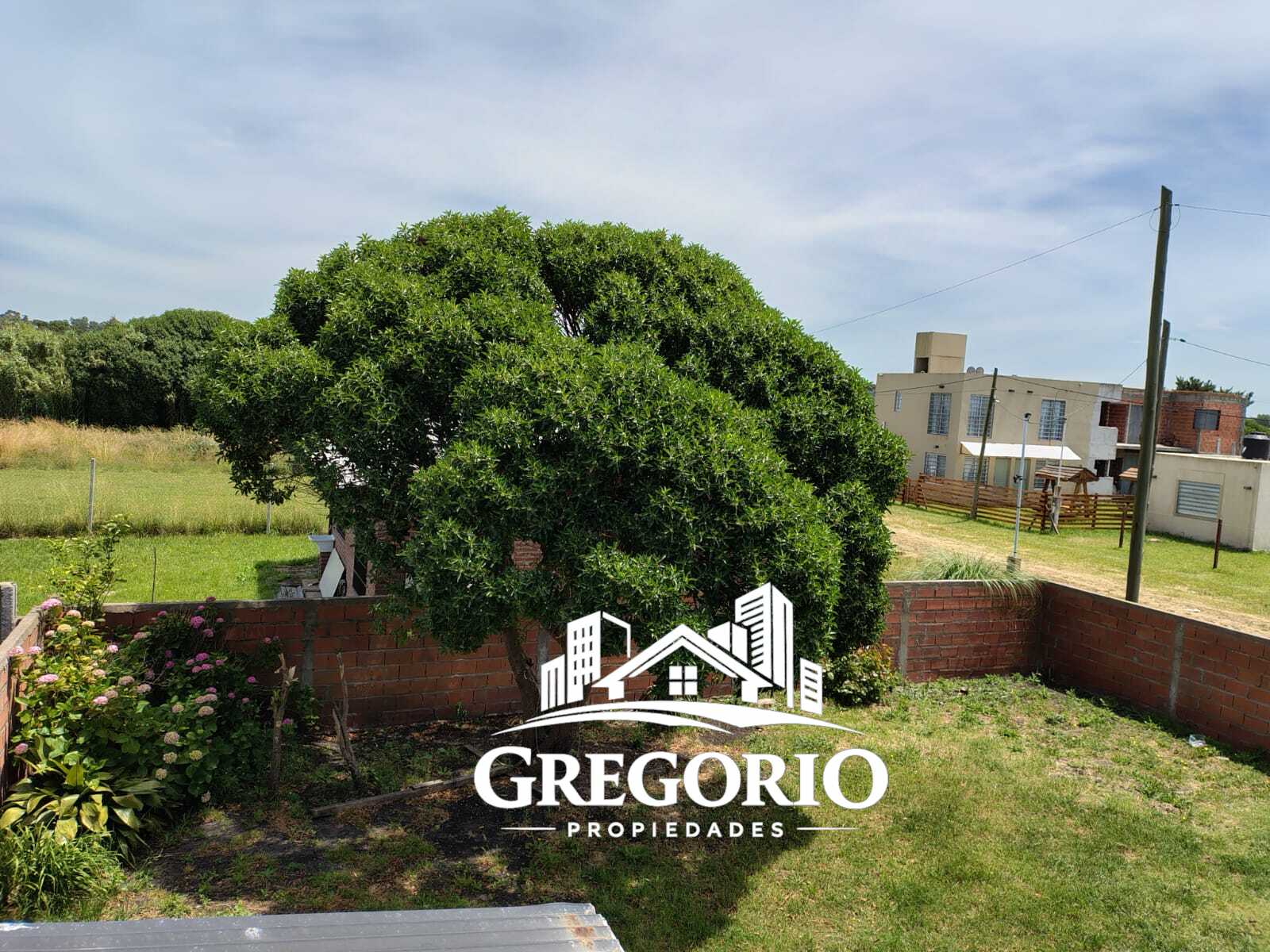 WhatsApp Image 2026-01-19 at 12.40.59