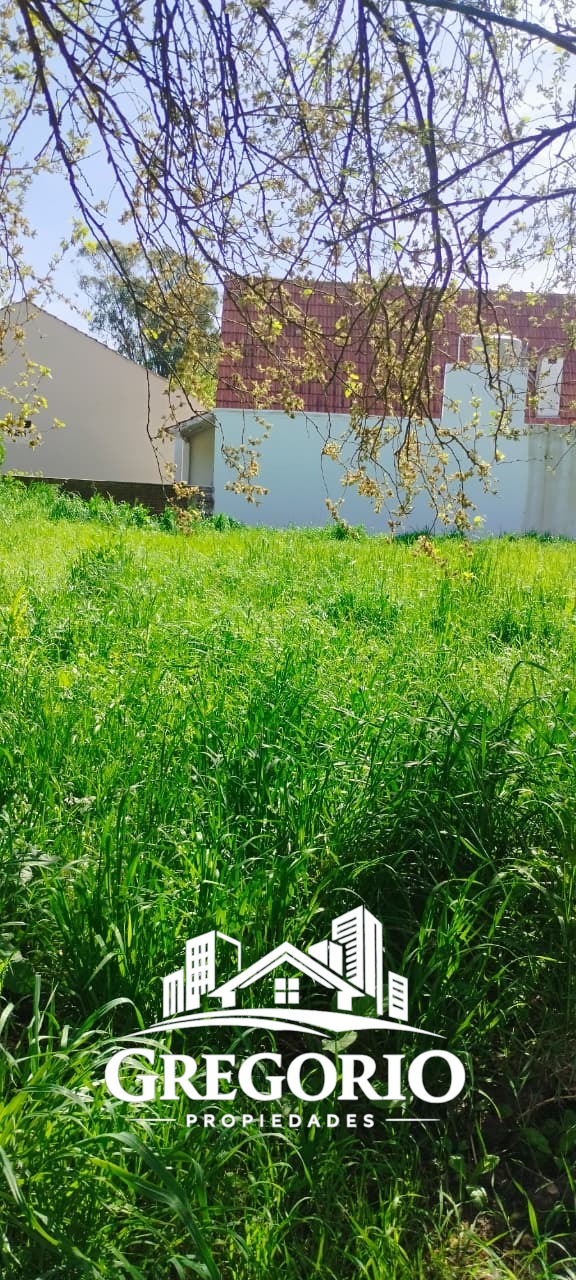 WhatsApp Image 2025-10-10 at 10.48.15