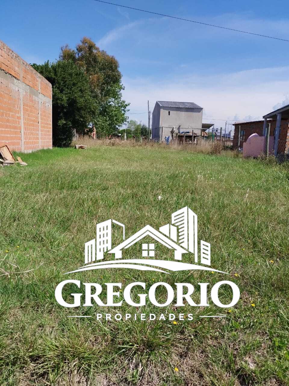 WhatsApp Image 2024-02-22 at 14.45.17