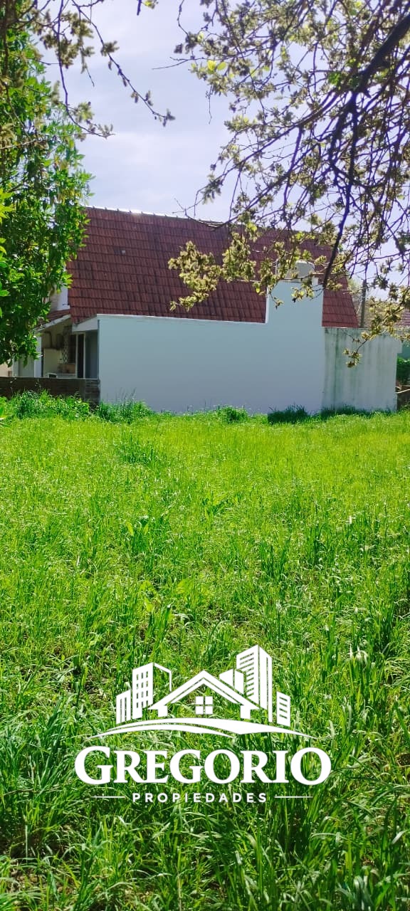 WhatsApp Image 2025-10-10 at 10.48.13