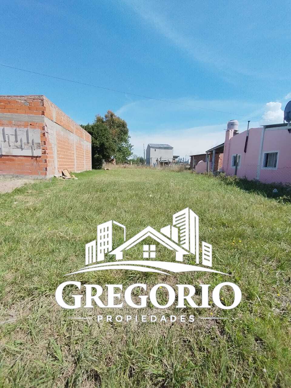 WhatsApp Image 2024-02-22 at 14.45.16