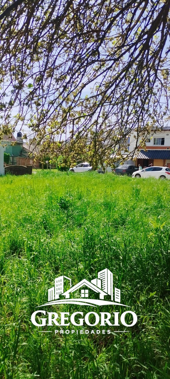 WhatsApp Image 2025-10-10 at 10.48.11