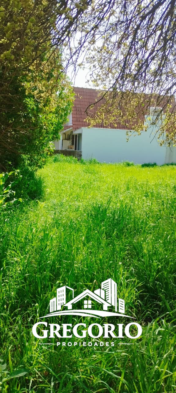 WhatsApp Image 2025-10-10 at 10.48.14