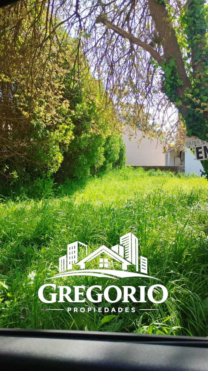 WhatsApp Image 2025-10-10 at 10.48.18