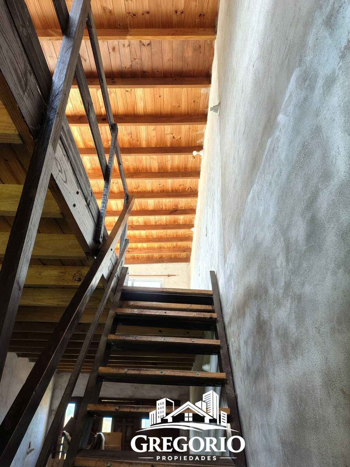 WhatsApp Image 2026-01-19 at 12.40.58 (1)