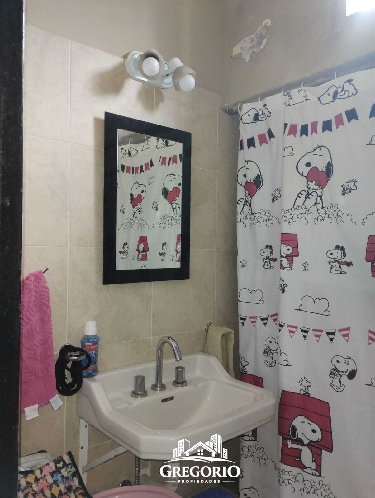 WhatsApp Image 2025-03-12 at 15.18.18 (1)