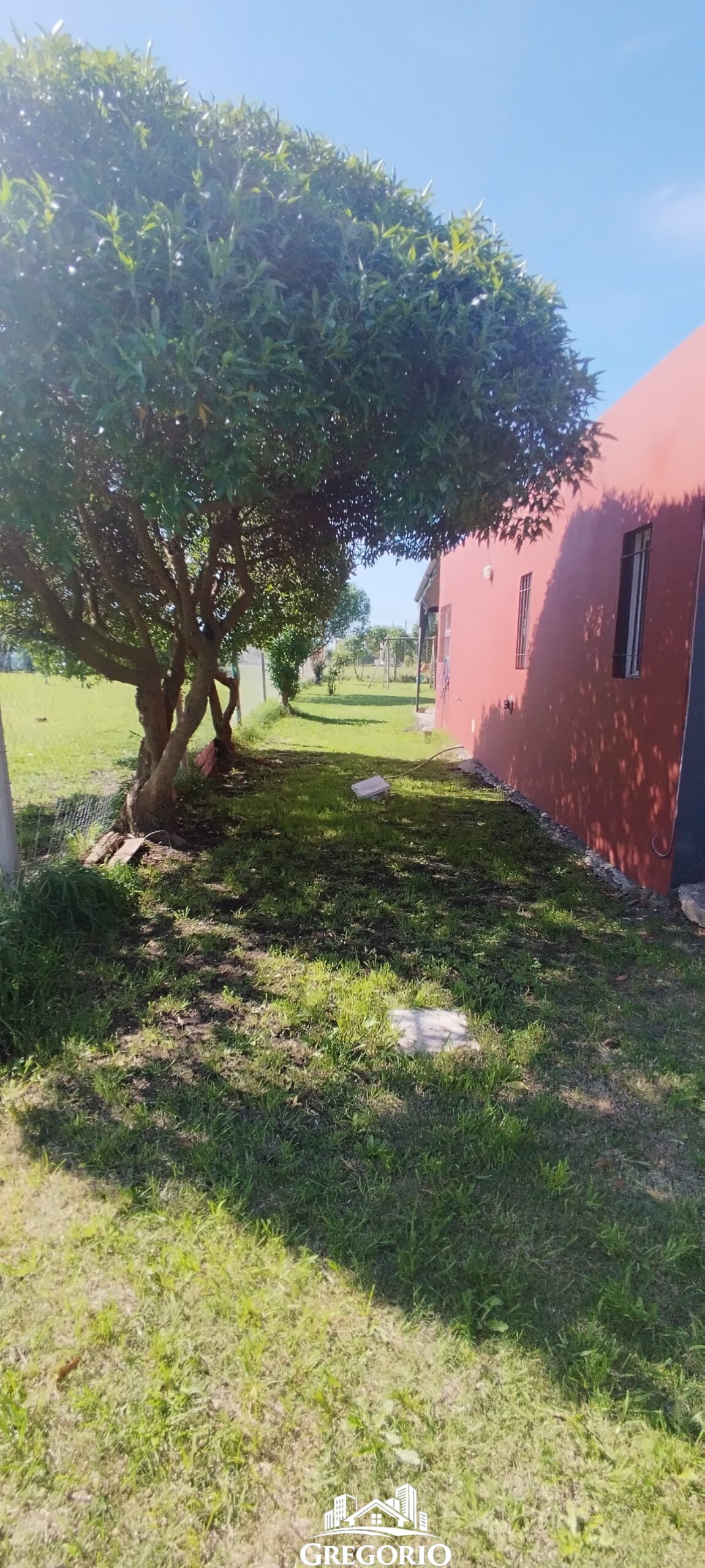 WhatsApp Image 2025-04-04 at 12.15.26 (2)