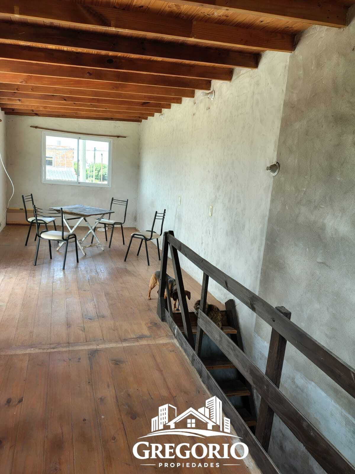 WhatsApp Image 2026-01-19 at 12.40.56