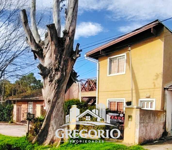 WhatsApp Image 2026-03-03 at 00.04.42 (2)