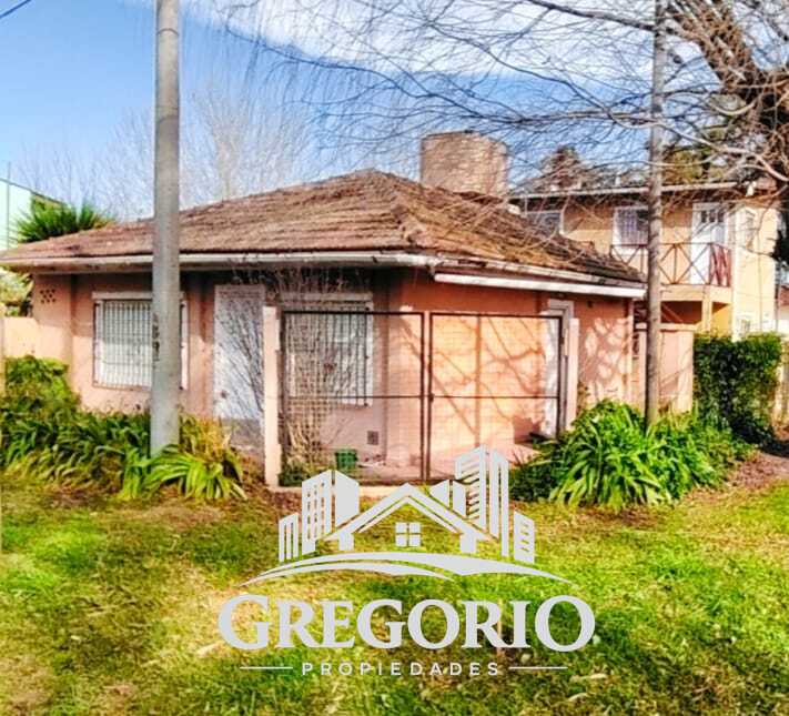 WhatsApp Image 2026-03-03 at 00.04.44