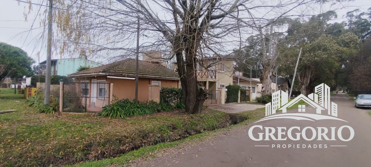 WhatsApp Image 2026-03-03 at 00.04.47